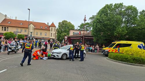 8222.jpg