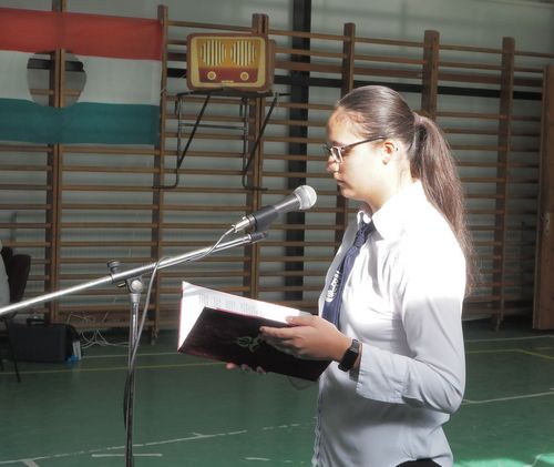 aPA220016x.jpg