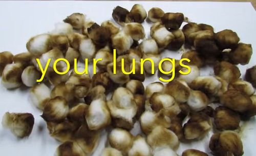 cigaretta hatása Képernyőkép 2025-12-13 111909.jpg