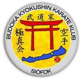 Budoka Kyokushin Karate Klub